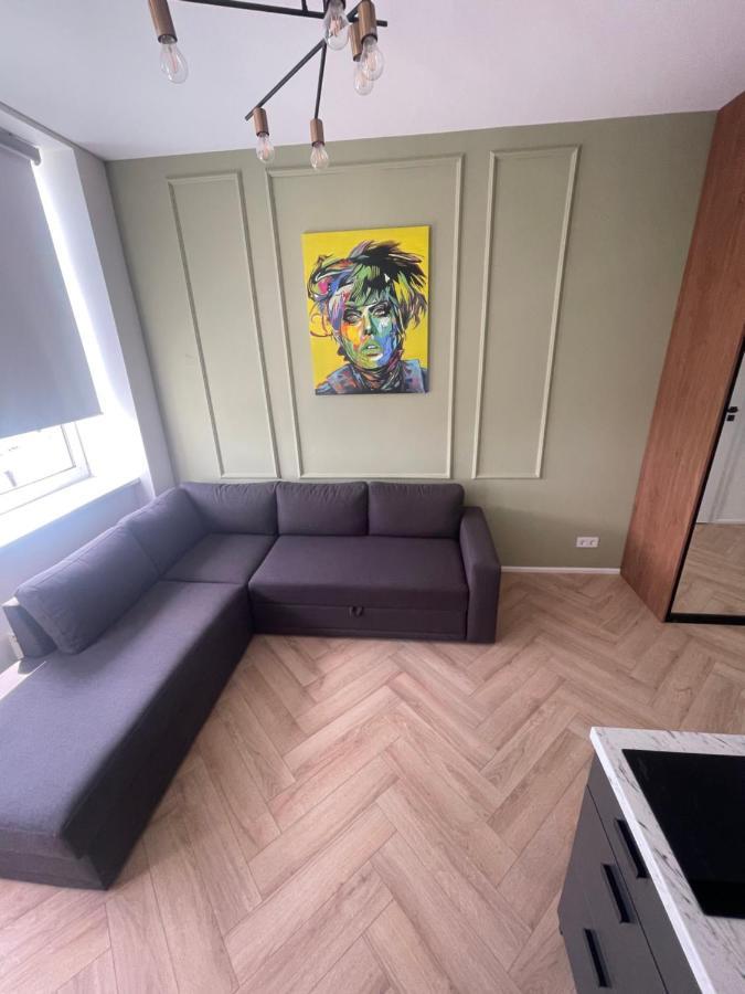Airport Apartment 14 Self Check-In Free Parking VNO Esterno foto